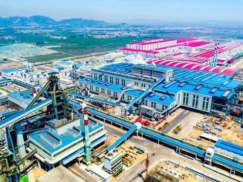 日照爆料最新消息,揭秘重大事件背后真相